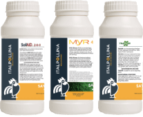 Vegetal Biostimulants