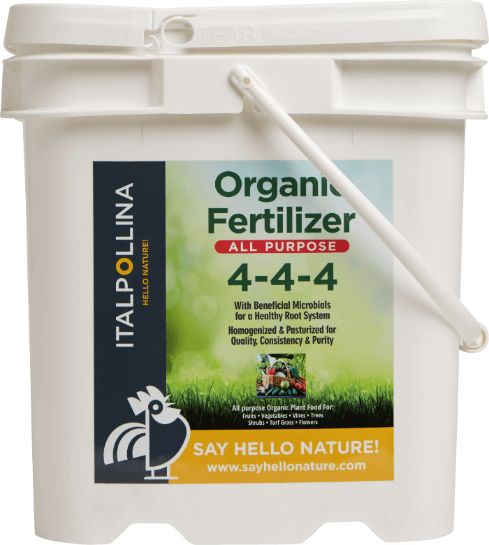 Organic Fertilizers